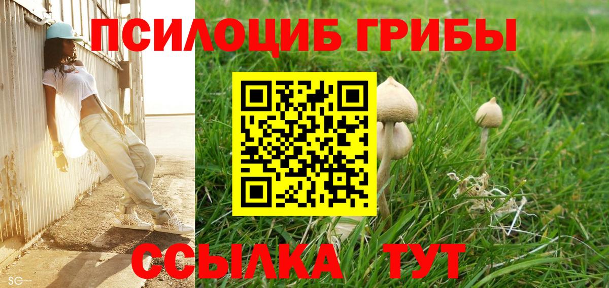 Псилоцибиновые грибы прущие грибы  Вход с VPN  Малгобек 