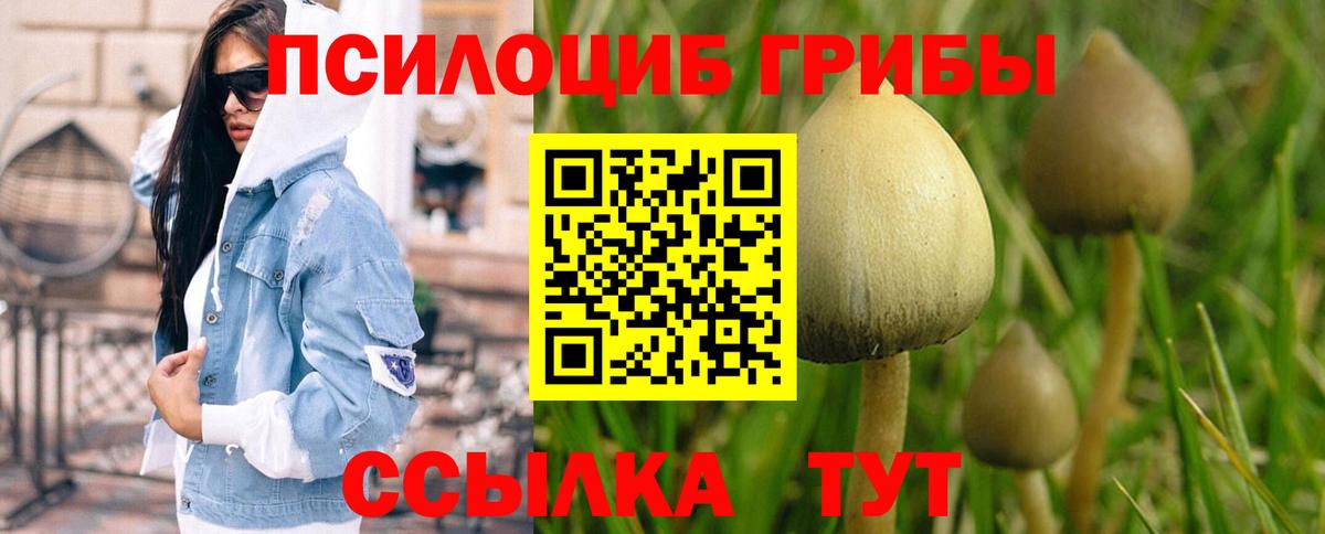 Галлюциногенные грибы прущие грибы Малгобек